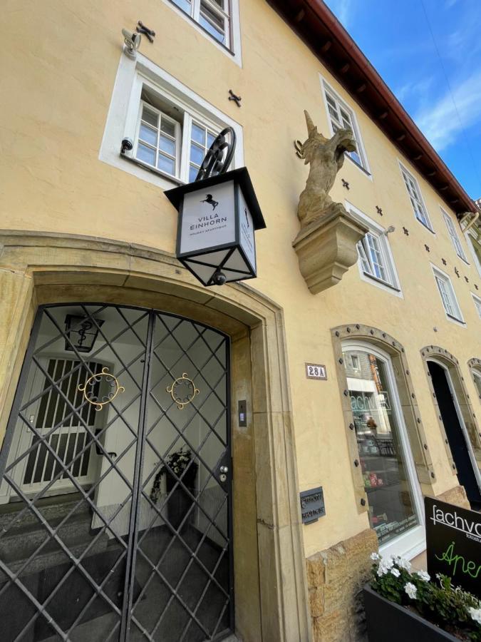Villa Einhorn: Ruhe Oase Mitten Im Zentrum Goslar Exterior photo